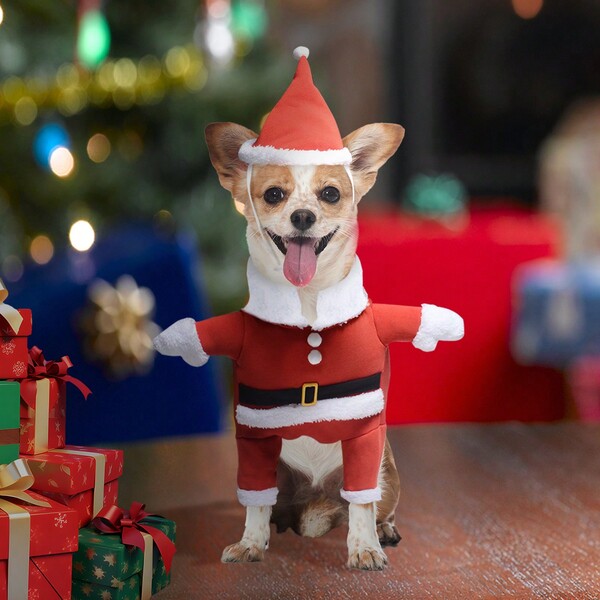 BJAYPET طقم أزياء عيد الميلاد للحيوان الأليف، بدلة كلاسيكية قائمة مزينة بسانتا كلوز لفصل الشتاء، ملابس عيد الميلاد الجديدة للتحول للكلاب الصغيرة و المتوسطة الحجم