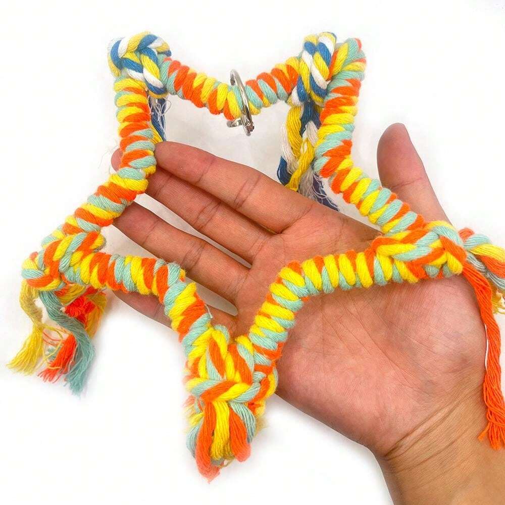 Christmas Pentagon Rope Swing Colorful Bird Toy Parrot Perch Climbing