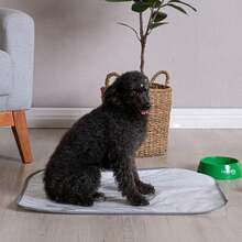 Kit Of 6 Washable Hygienic Mats For Pets - Comfort And Practicality In 70x50 Cm Durability And Elegance - 白色 - 查看 3