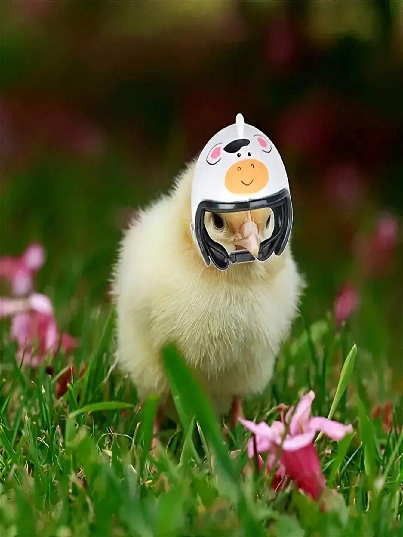 1PC. Pet Chicken. Bird Helmet. Sun Protection And Rain Protection Hat
