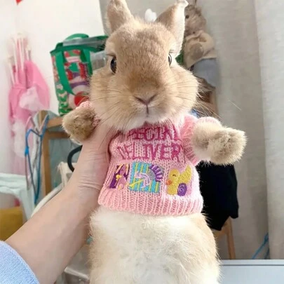 1 件适合小型宠物的舒适针织毛衣 - 毛绒玩偶服装，适合兔子、小兔子、猫和狗 - 多种可爱款式可供选择！