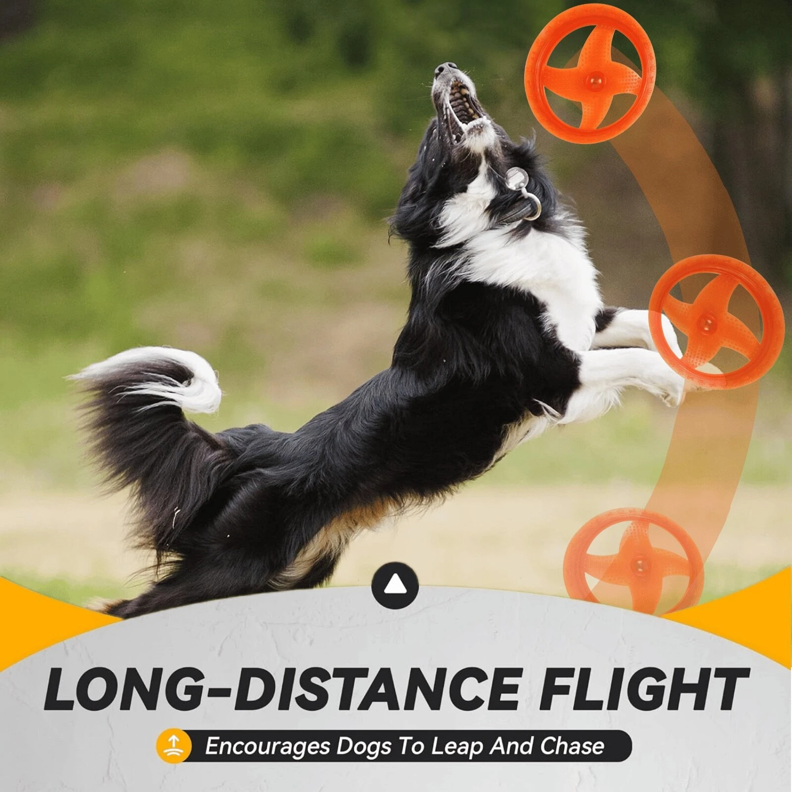 Flying Disc Dog Sport Toy With Flashing LED Lights, Light Up Pet Disk