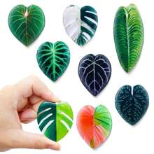 8 Pcs Acrylic Plant Leaf Fridge Magnets, Fresh Design, Beautify Your Fridge, Essential Home Decor Best Gifts - Leaf Shape - View 2