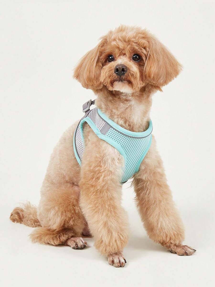 舒适安全的宠物背带：柔软网状猫狗背心，带反光条，适合小型和中型犬，不包括绳索 - 綠色 - 查看 1