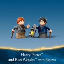 LEGO 哈利波特禁林中的阿拉戈克，儿童蜘蛛玩具套装，哈利波特收藏品，附有神奇生物和 2 个迷你人偶，适合 7 岁男孩和女孩的哈利波特玩具，76434 - 76434 - 查看 5