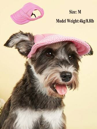 1 pièce Vêtements et accessoires pour British Shorthair Corgi, chapeau de chien à oreilles découvertes, casquette de baseball