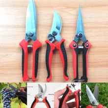 3 件套手动修枝剪园艺工具套装：葡萄藤剪刀、花园枝剪、大蒜剪、重型修枝剪 - 彩色 - 查看 2