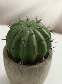 1 件人造多肉植物盆栽，各种装饰性人造多肉植物盆栽假仙人掌仙人掌植物带盆，情人节礼物生日毕业家居装饰返校房间装饰学校用品 - 綠色 - 查看 3