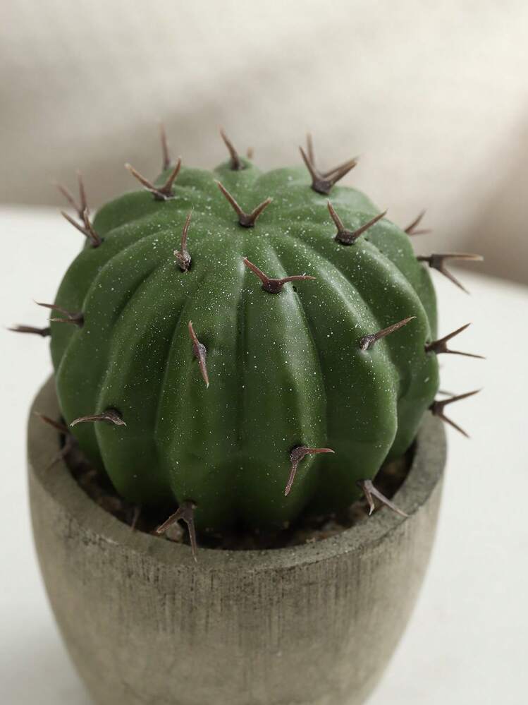 1pc Artificial Succulent Plants Potted, Assorted Decorative Faux Succulent Potted Fake Cactus Cacti Plants With Pots, Valentine's Day, Gift Gifts Birthday Graduation Home Decor Back To School Room Decor School Supplies - Green - View 3