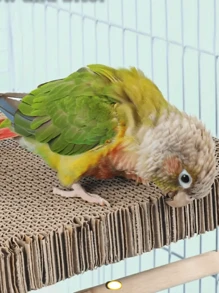 Parrot Chew Toys For Bird Cage Decompression, Pet Bird Shredding Paper Plaything, Stress Relief Nibble Board, Essential Layered Platform Accessories For Parrots And Couple Birds - Durable Paper Material, 2 Random Shipping Styles - Multicolor - View 9