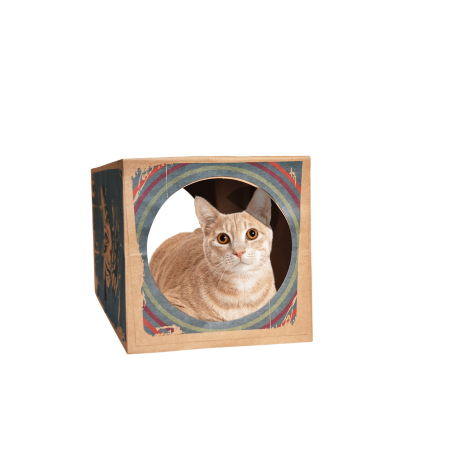 Foldable Paper Cat Tunnel, Designed By Veterinarians Interactive Cat