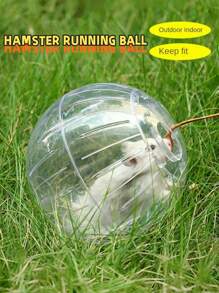 1 件仓鼠室内和室外运动跑步球，12 厘米塑料仓鼠轮玩具 - 彩色 - 查看 1