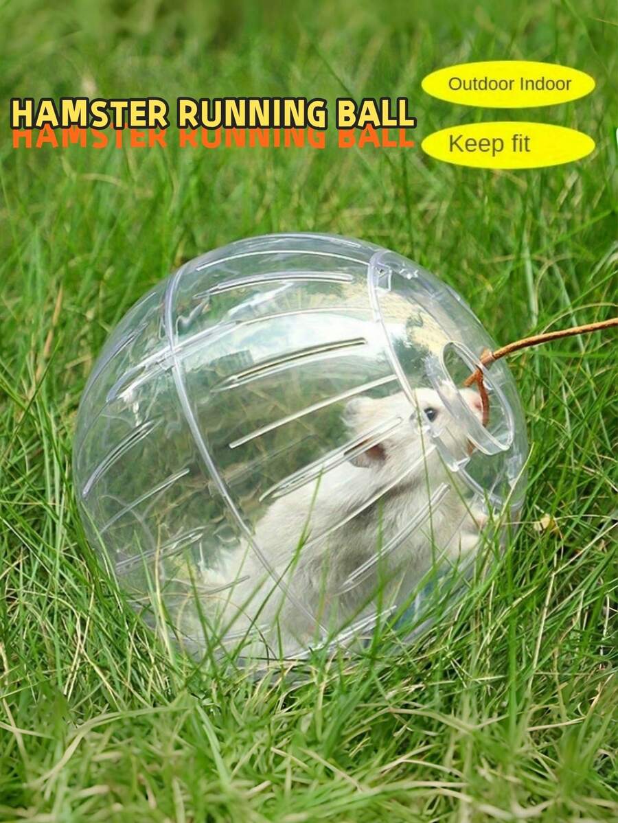 1 件仓鼠室内和室外运动跑步球，12 厘米塑料仓鼠轮玩具 - 彩色 - 查看 1
