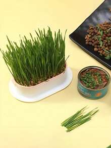 1 件奇思妙想的水培猫草花盆 - 易于使用、节省空间、塑料宠物碗，适用于室内园艺 - 无需种子 - 彩色 - 查看 2