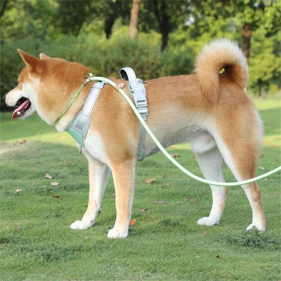 Retractable Dog Leash For Medium & Large Dogs, Universal Safety Clip