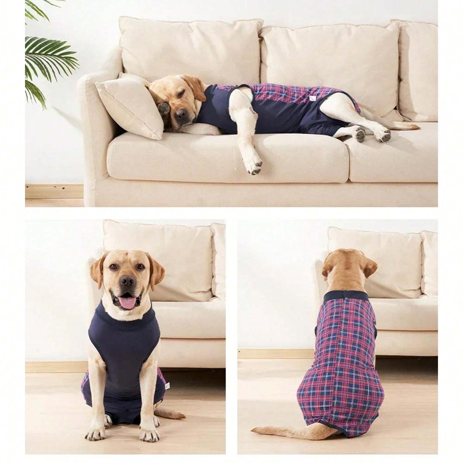 Pet Recovery Clothing For Dogs And Cats Spay/Neuter Surgery, 4 Leg