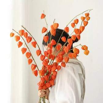 Torkade lingonblommor av högsta kvalitet, nisch Naturligt rustikt dekorativt material för höst/vinter, äkta torkad lyktafrukt och röda bär blombukett, naturliga lufttorkade blommor för vardagsrum, hem, klassrumsdekoration, perfekt för nyår, juldekoration