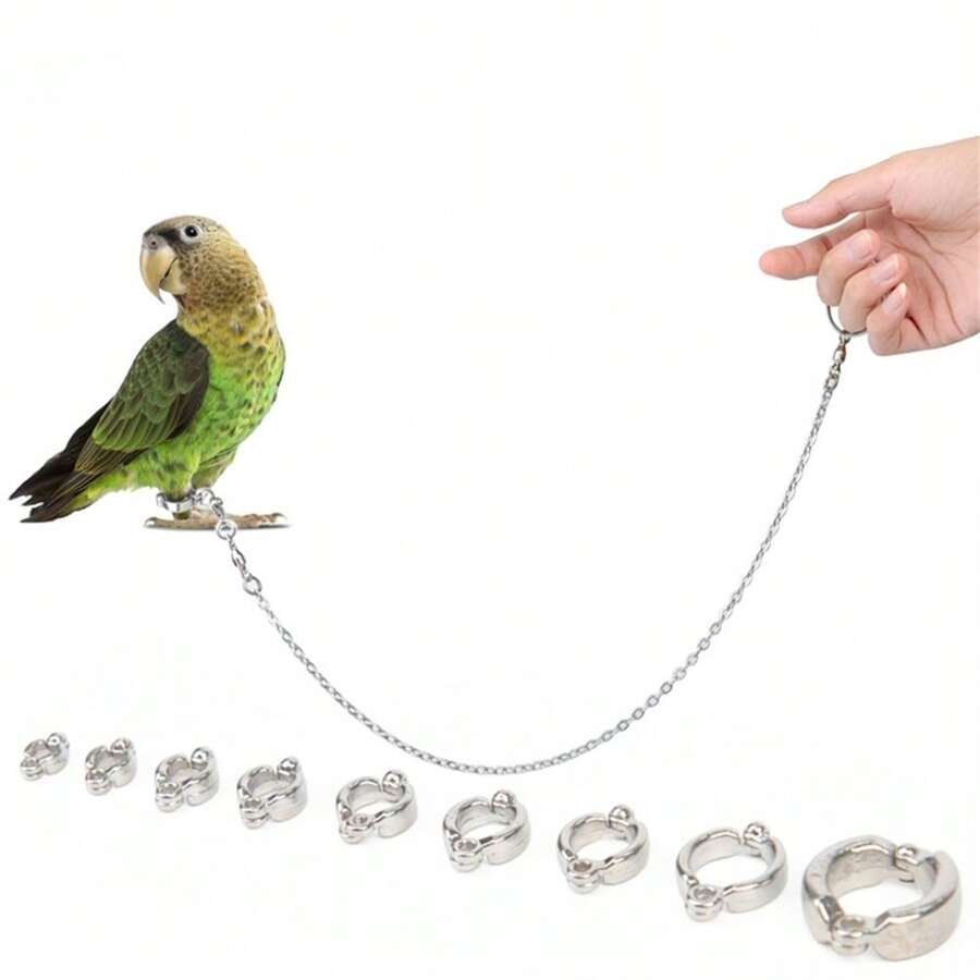 50cm Stainless Steel Parrot Chain, Bird Leg Band Holder Chain, Parrot Rope, Anti-Bite Steel Wire Rope, Outdoor Flight Training Chain - Multicolor - View 1
