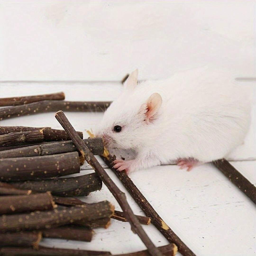 100g/200g/500g Apple Wood Small Pet Chew Sticks Ideal For Rabbits
