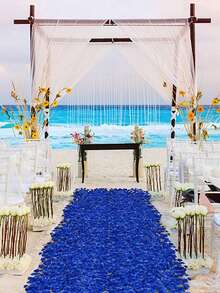 每包 1000 片或每包 100 片。人造玫瑰花瓣。婚礼用假花瓣。情人节、婚礼、万圣节、圣诞派对、家庭卧室装饰和五彩纸屑用假花瓣。圣诞节。 - 寶藍色 - 查看 8