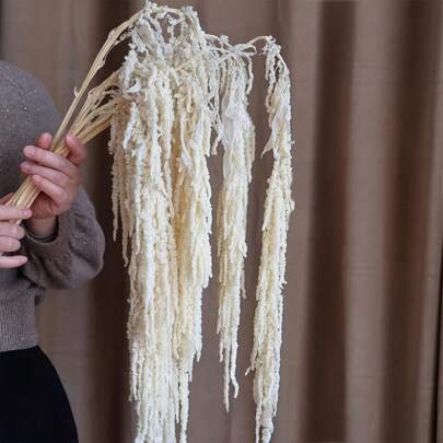 5 peças/10 peças de contas de flores secas de amaranto e glicínias penduradas branqueadas, lágrima decorativa, conjunto de guirlanda de borla de vime natural boho - buquê floral preservado, adequado para arco de casamento, arranjo floral delicado, vasos para casa, paredes, decoração de casamento, decoração para casa - não elétrica, decoração de artesanato faça você mesmo para casa/casamento