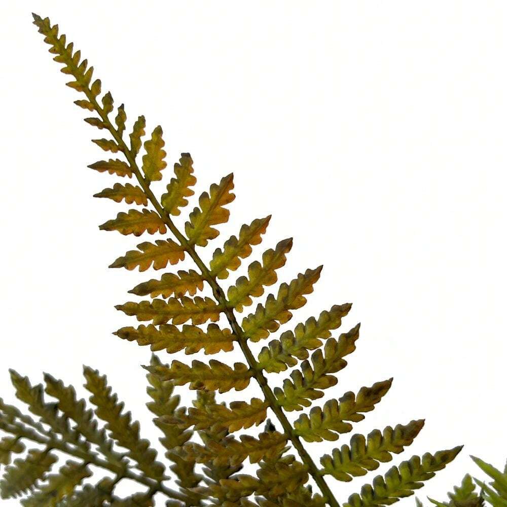 Large Artificial Plants Large Wall Hanging Fern Leaves Vines Boston