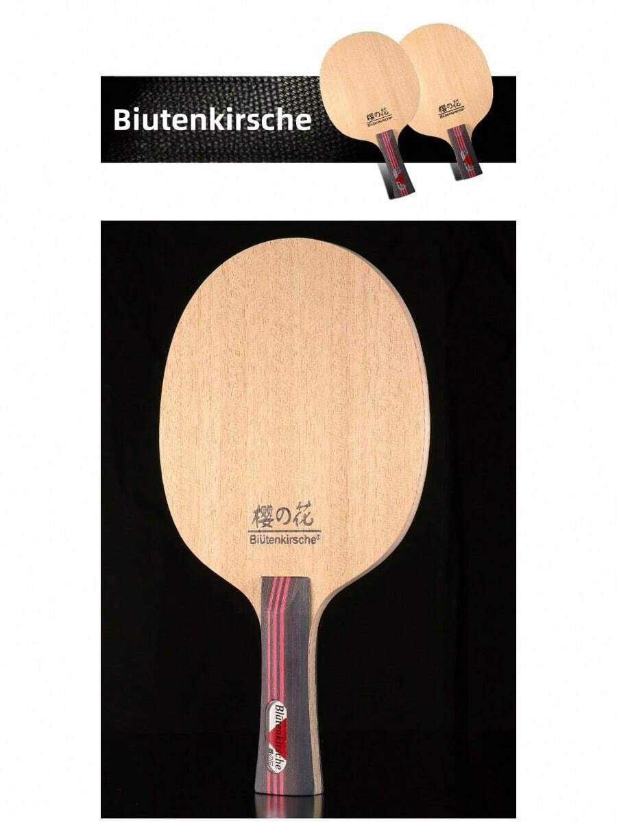 Raquette de tennis de table professionnelle Heinsa Carbone Noir 2025 Vainqueur du test acheter