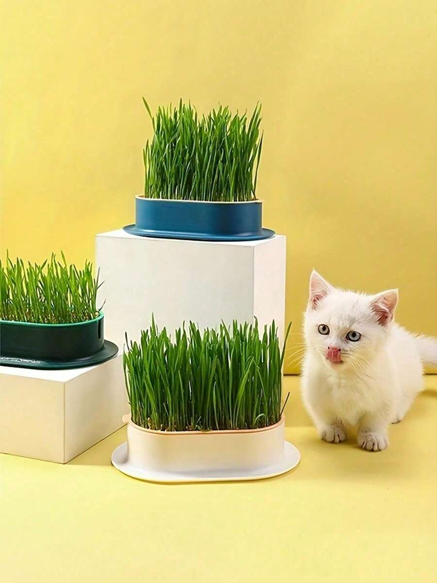 1 件奇思妙想的水培猫草花盆 - 易于使用、节省空间、塑料宠物碗，适用于室内园艺 - 无需种子 - 彩色 - 查看 1