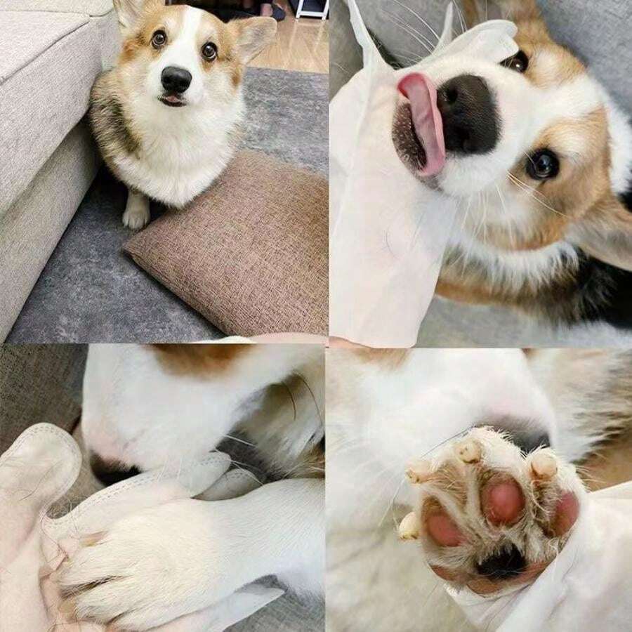 Portable Outdoor Household Dogs And Cats Clean Disposable Gloves Wet