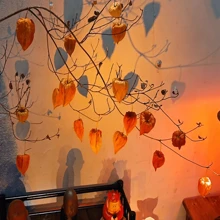 优质干越橘花，适合秋冬季节的小众天然质朴装饰材料，真正的干灯笼水果和红浆果花束，天然风干花，适合客厅、家居、教室装饰，非常适合新年、圣诞节节日装饰