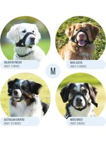 Muselière pour chien MP006, pour prévenir la morsure et le mâchage inutile, convient pour une utilisation en extérieur
