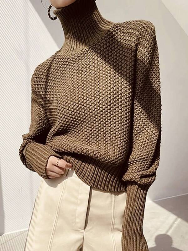 Women Solid Color Long Sleeve Simple Turtleneck Sweater, Casual Daily Wear