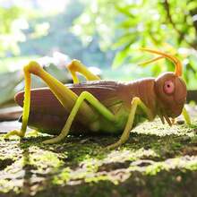 1 件昆虫与海洋生物逼真的柔软挤压玩具模型,缓解压力的挤压玩具包括蚂蚁、狗、蜗牛、苍蝇、蚱蜢、蝙蝠、螳螂、海象、章鱼、海豚,由 TPR 材料制成 - 圣诞节、万圣节、生日装饰的完美礼物 - 彩色 - 查看 15