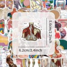 53 Medical Student Note Stickers Suitable For Recording, Body Structure, Personalized, Graffiti Stickers, Decorative Notes, Water Bottles, Stickers That Can Be Attached To Diaries As Identification, Etc"Back To School""School Supplies""The Spring Festival""Valentine's Day"