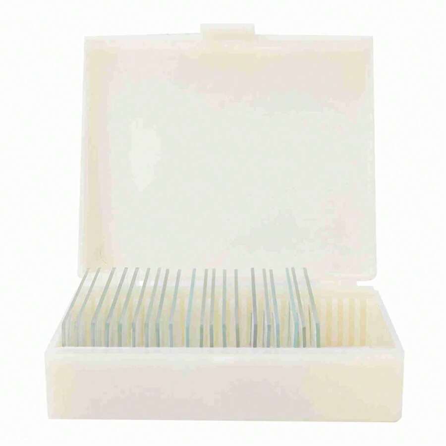 20 Pieces Of Microbiological Bacterial Specimens Biology Microscope