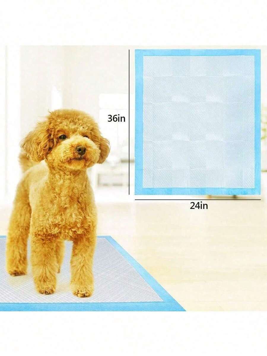 Heavy Duty Large Pet Disposable Training Pads No Leaking Quick Dry