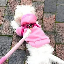 1 Áo nỉ trùm đầu cho chó có túi, Quần áo ấm cho thú cưng, Dành cho chó nhỏ như Chihuahua, Poodle, Bichon Frise, Yorkie, Mùa thu/đông - Nhiều màu - Xem 4