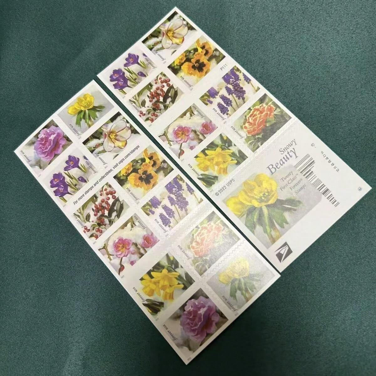 Snowy Garden Beauty POSTCARD Forever Postage Stamps US Postal American