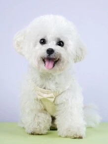 Plaid Bow Decor Pet Chest Strap For Girl, Daily Use