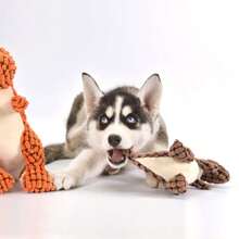 Cats And Dogs Pet Plush Dinosaur Toys Indestructible Plush Dinosaur Chew Toys Squeaky Stuffing Pet Supplies For Small Big Dogs