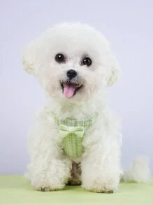 Plaid Bow Decor Pet Chest Strap For Girl, Daily Use