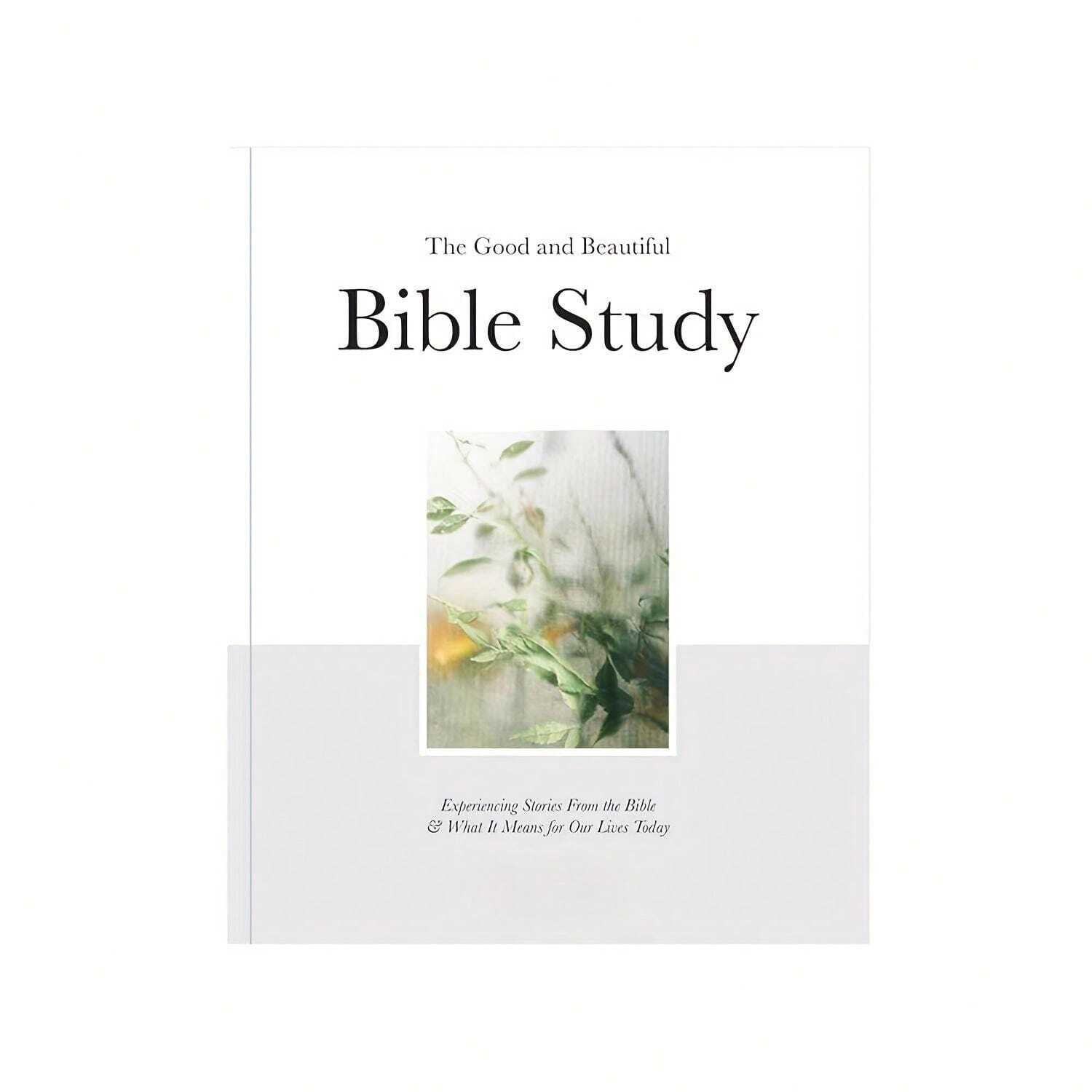 The Good And Beautiful Bible Study Experiencing Stories From The Bible