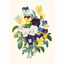 1 件复古植物科普知识花卉海报和印刷品帆布画墙壁艺术画适用于客厅家居装饰无框架 - 彩色 - 查看 49