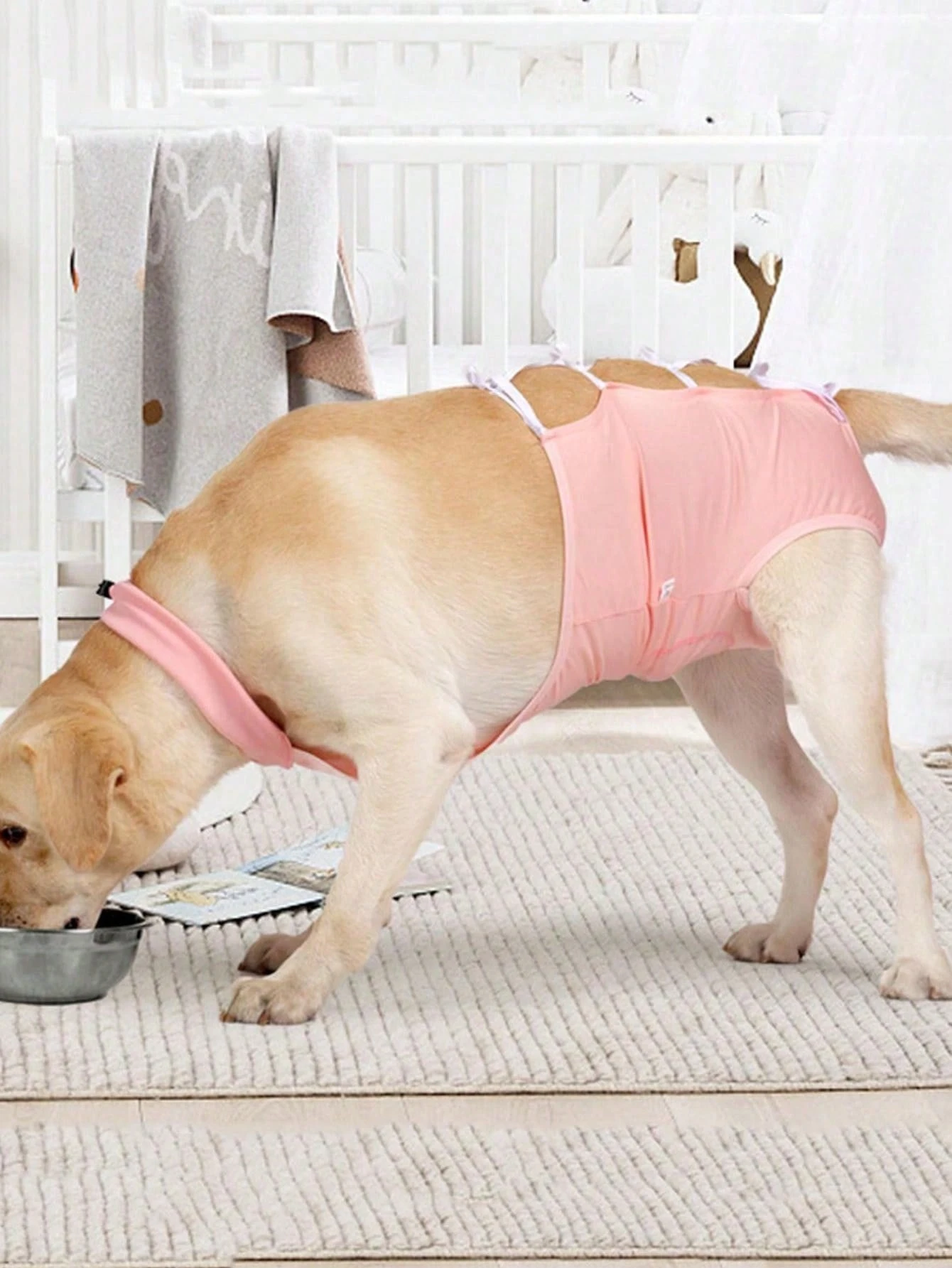 Dog Surgery Suit Kuoser Dog Recovery Suit Surgical Onesie