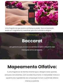 Niche Perfume 100ml Parfum Brasil - Baccarat - Xem 4