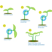 25 个植物形弯曲夹，用于植物枝条固定，防止植物生长不对称，有助于塑造更美丽的外观。 - 彩色 - 查看 6