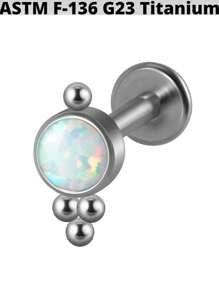 1PC G23 Titanium Opal /Zirconia Sun Flower Lip Studs Cluster Cz Ear Cartilage Tragus Helix Flat Labret Earring Piercing Body Jewelry - Titanium Original Color - View 19
