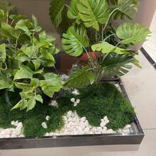 1 件 50 克人造绿苔藓仿真植物，情人节、生日毕业礼物、花园装饰、户外植物、园艺、假花