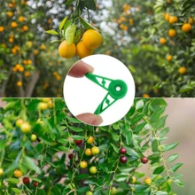 25 个植物形弯曲夹，用于植物枝条固定，防止植物生长不对称，有助于塑造更美丽的外观。 - 彩色 - 查看 7