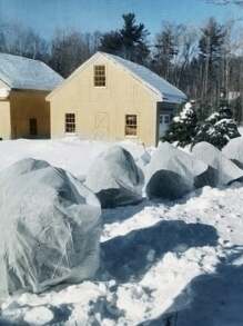 Vỏ bảo vệ thực vật bằng vải không dệt 80cm/120cm, chống đóng băng và chống côn trùng với chức năng chống lạnh và chống sương giá - trắng - Xem 4